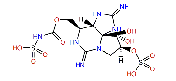 Protogonyautoxin II